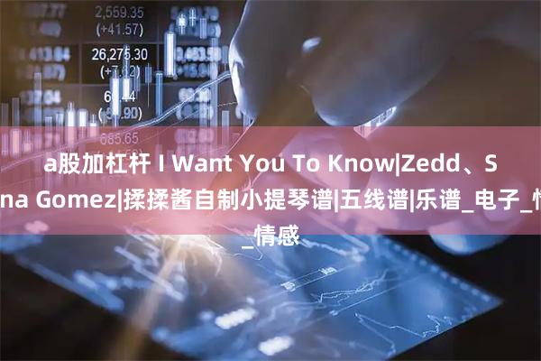 a股加杠杆 I Want You To Know|Zedd、Selena Gomez|揉揉酱自制小提琴谱|五线谱|乐谱_电子_情感