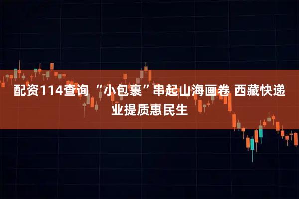 配资114查询 “小包裹”串起山海画卷 西藏快递业提质惠民生