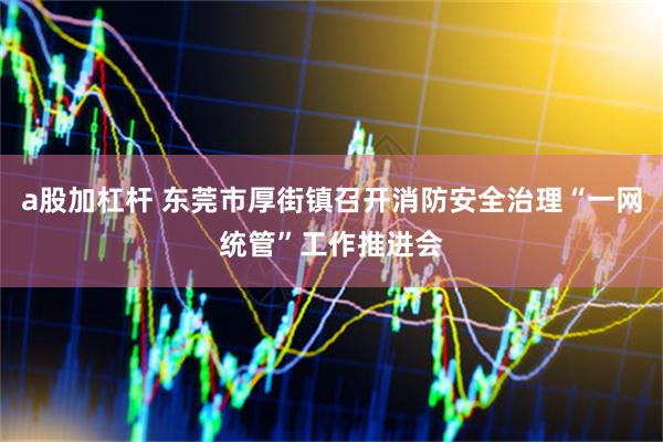 a股加杠杆 东莞市厚街镇召开消防安全治理“一网统管”工作推进会