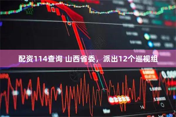 配资114查询 山西省委，派出12个巡视组